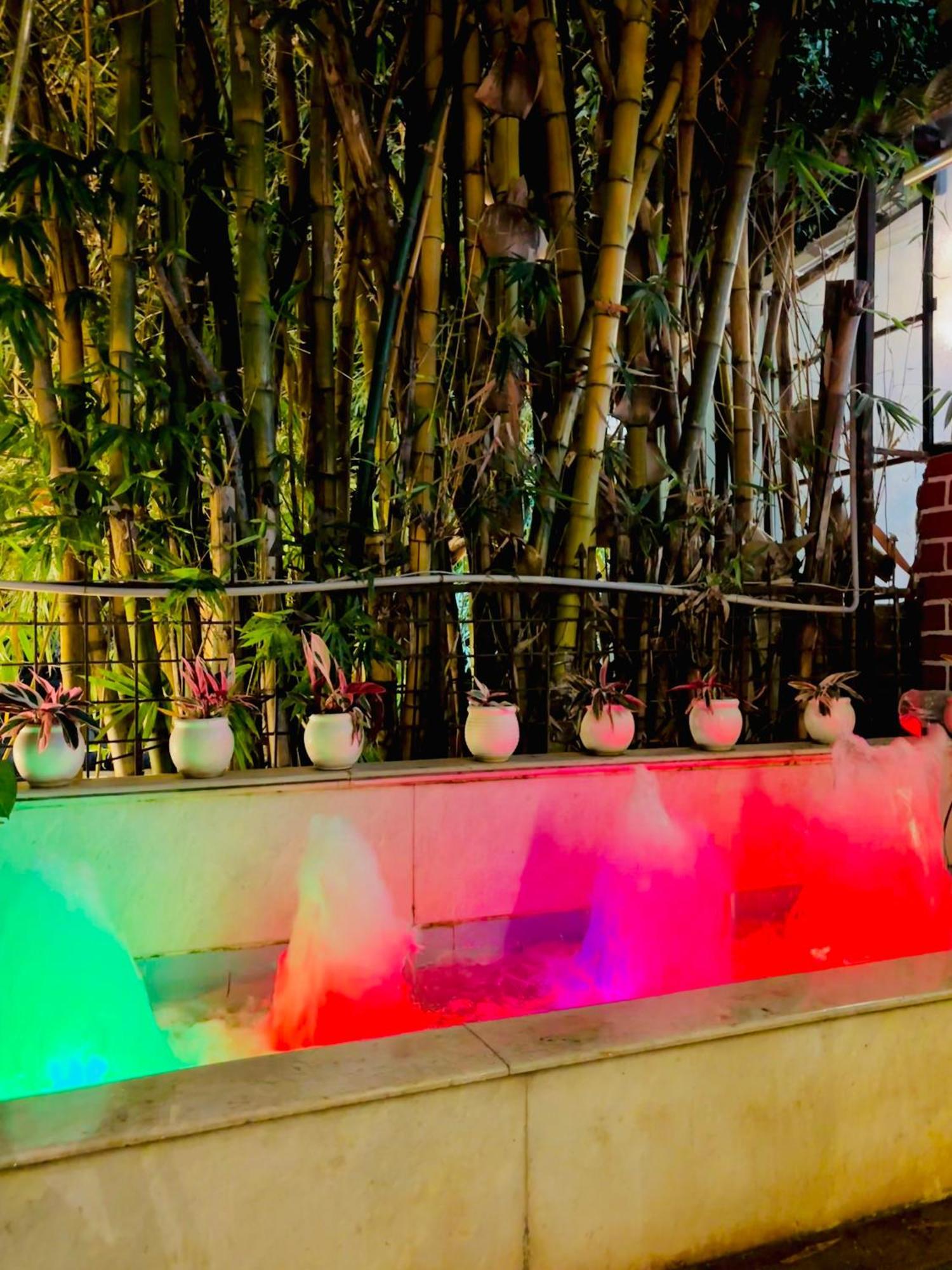 Royal Palms Luxury Service Apartment ナーグプル エクステリア 写真